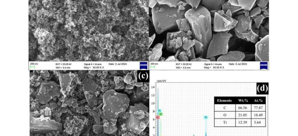 palmyra-paper fn_page-0004